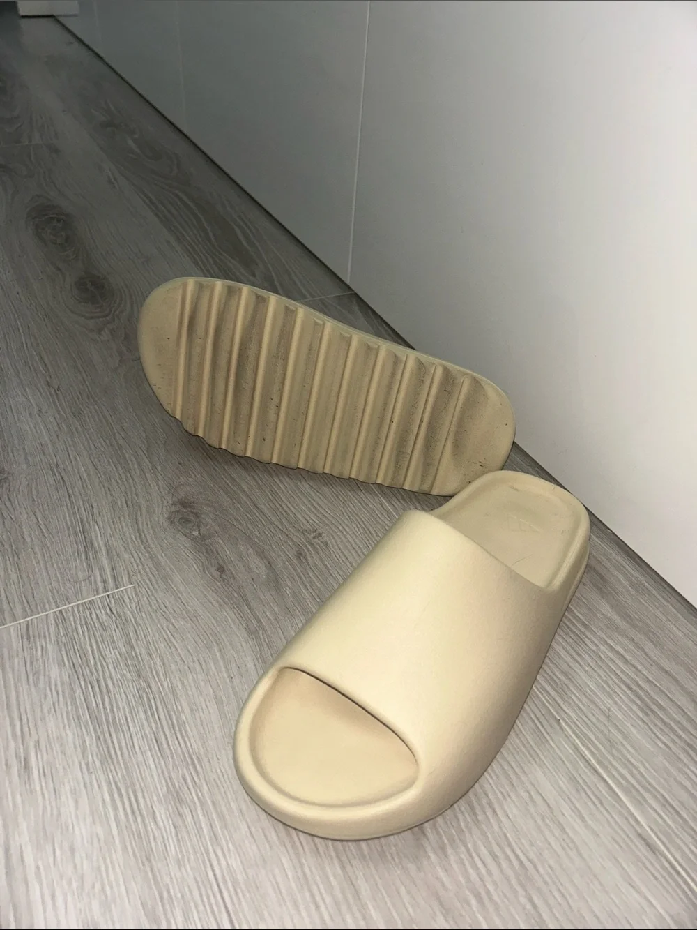 Yeezy color bone